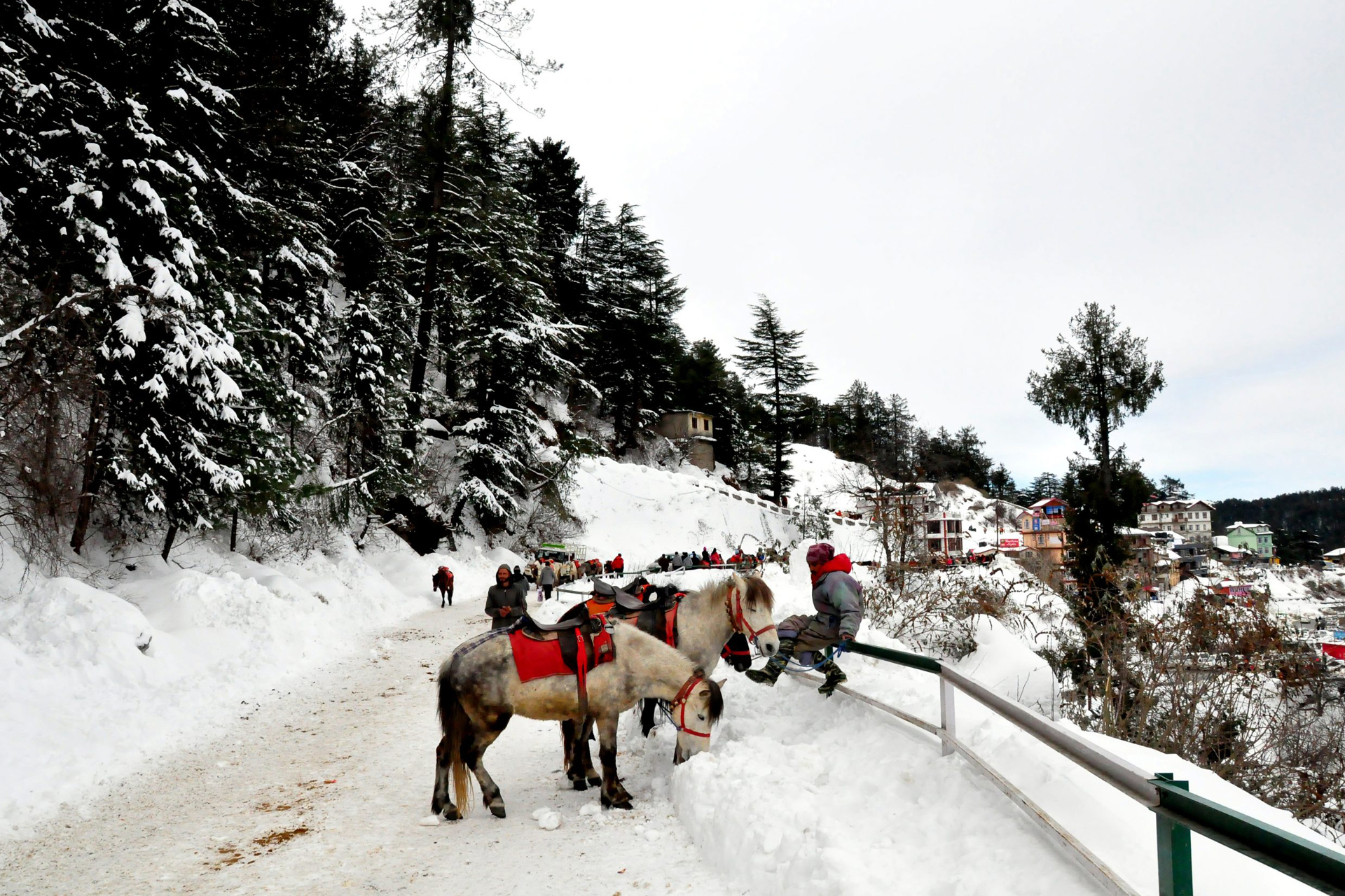 The Shyamla Solace Resort